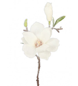 Snowfall Magnolia