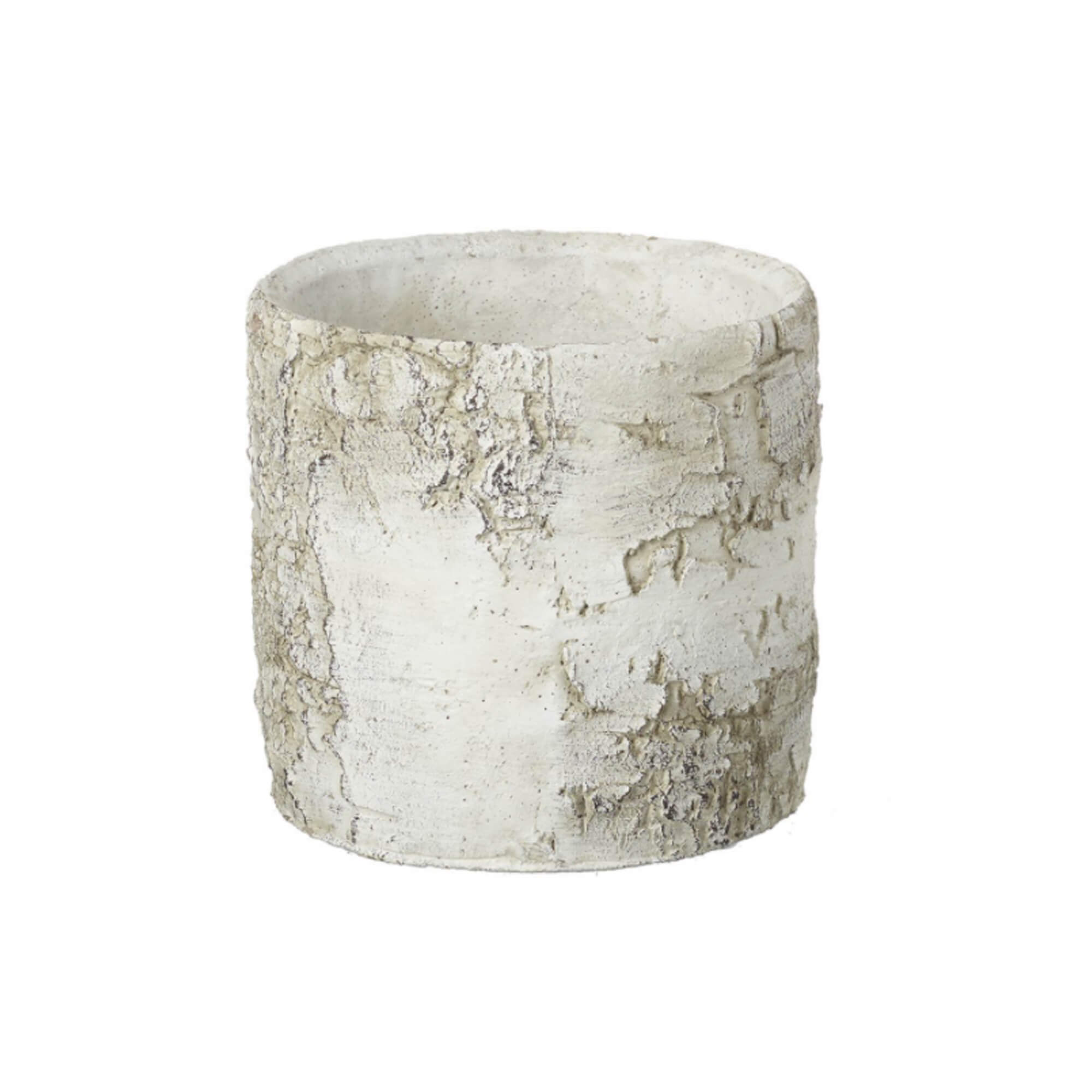 Silver Birch Look Planter