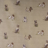 Thumbnail for Pooch Roman Blind