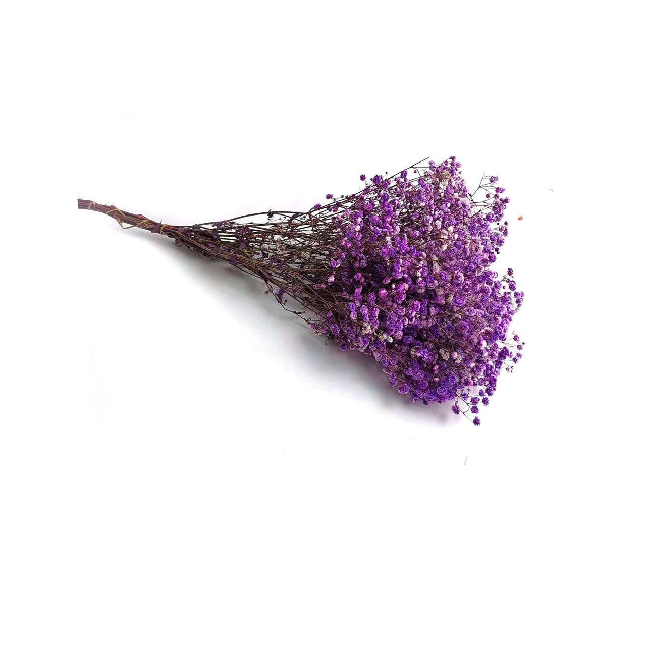 Dried Purple Baby's Breath Bunch