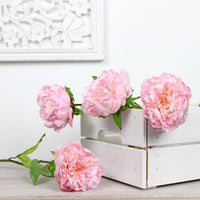Thumbnail for Real Feel Pink Peony