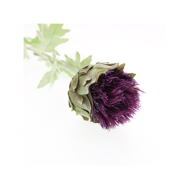 Lavender Thistle Stem