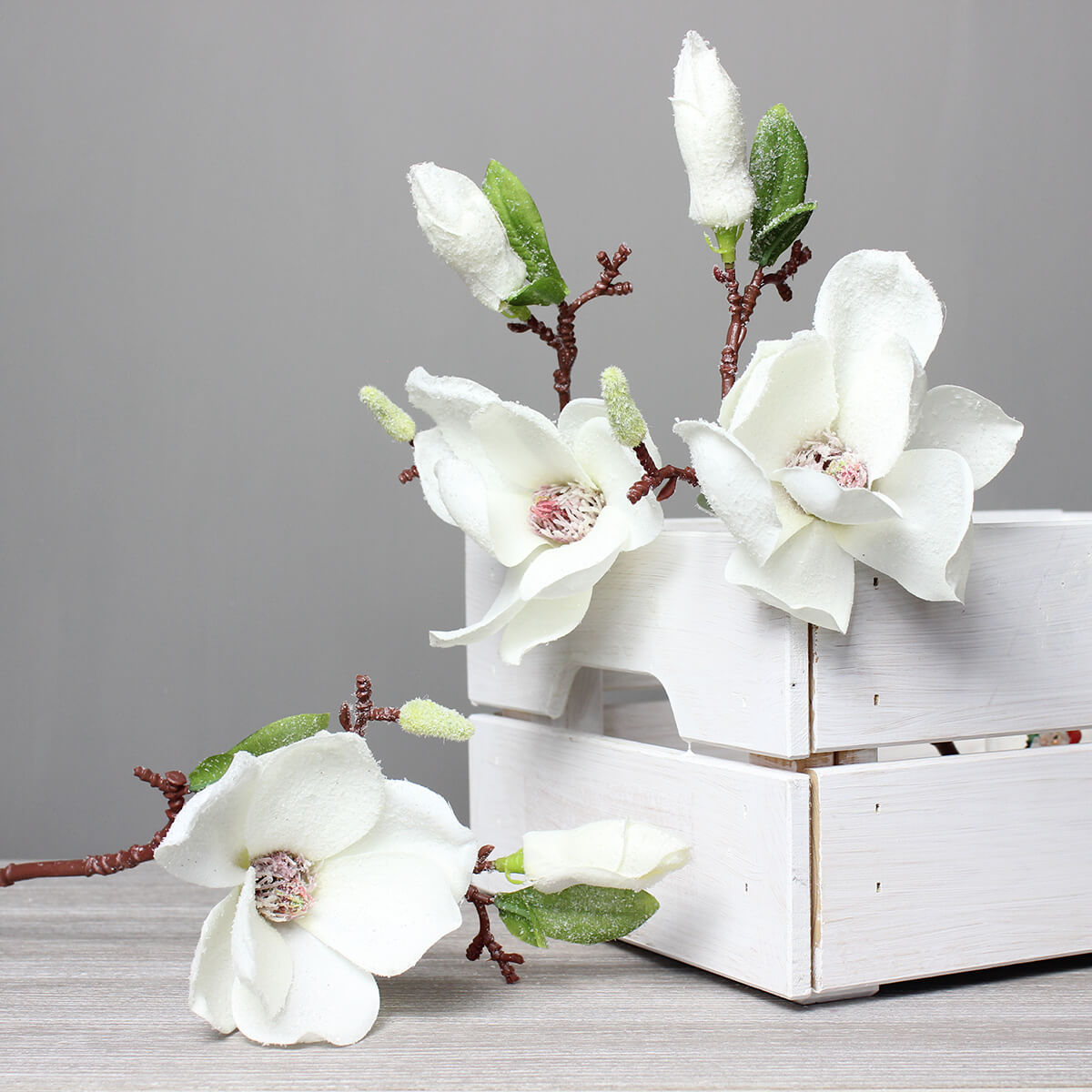 Snowfall Magnolia