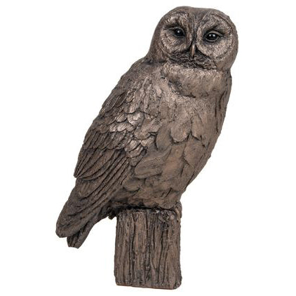 Tawny Owl Frith Bronze Sculpture