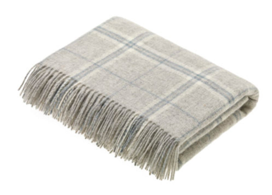 Bronte by Moon Windowpane Transitional Throw in Slate