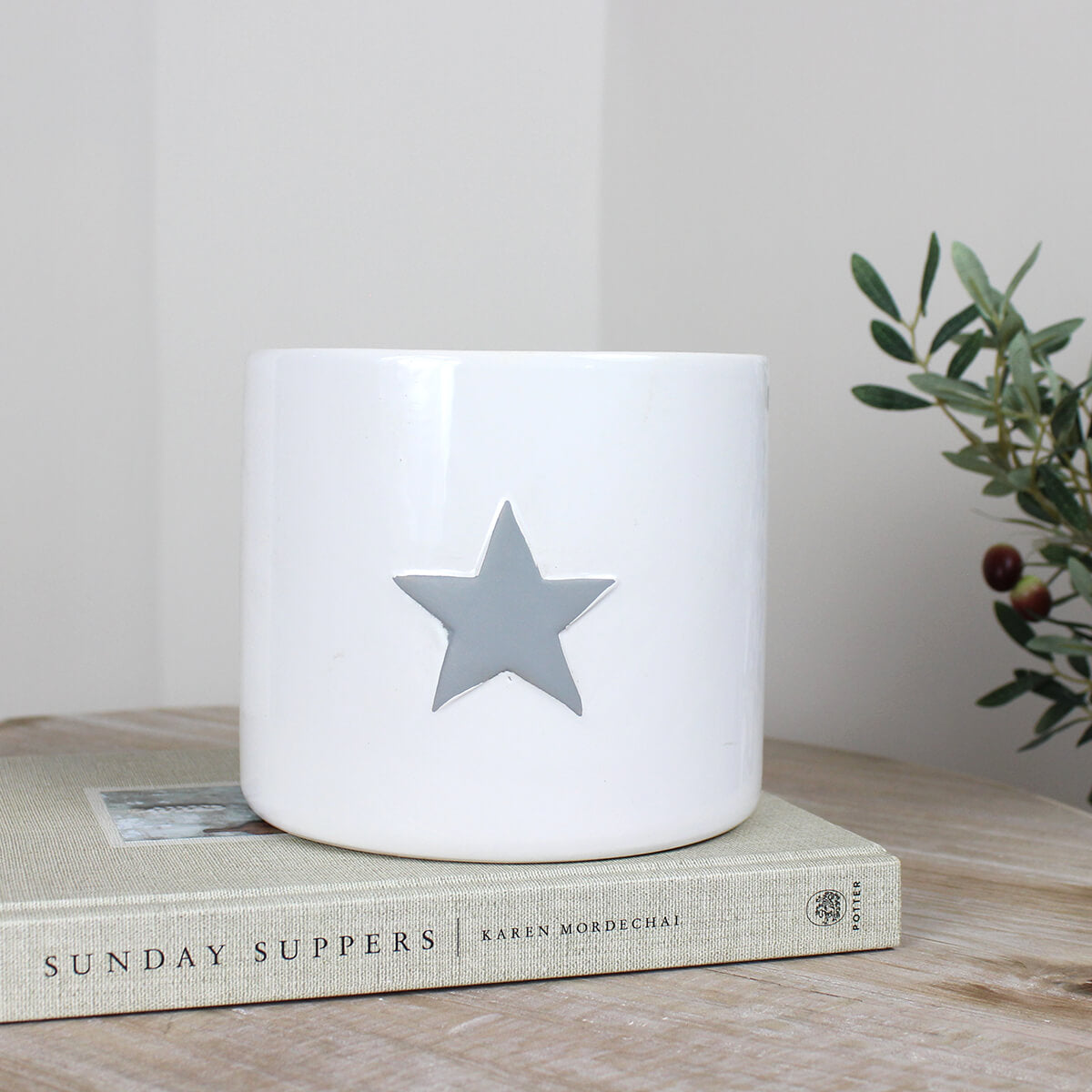 White Ceramic Flower Pot with Grey Star
