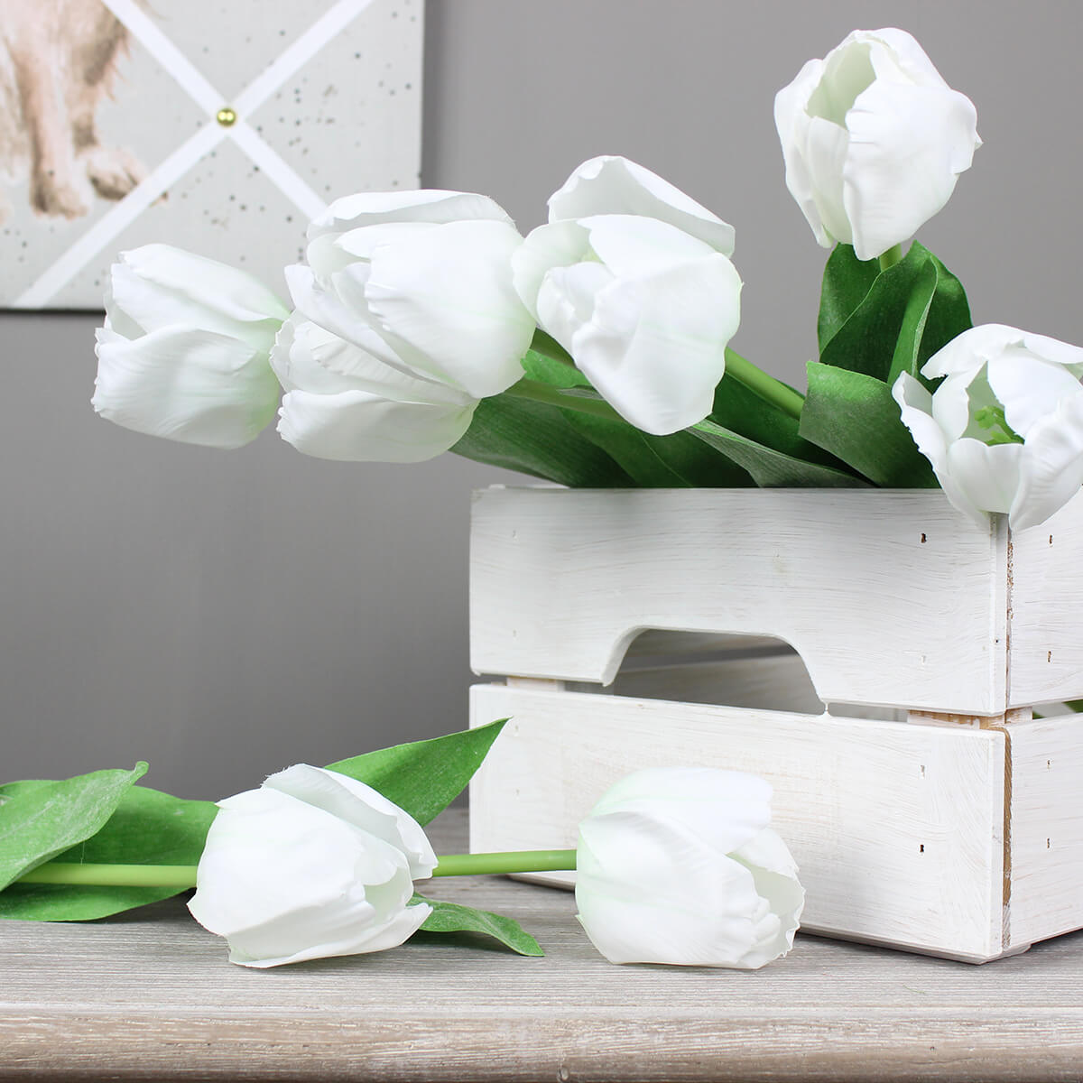 White Tulip Stem